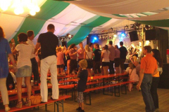 tve_fest_klein_11